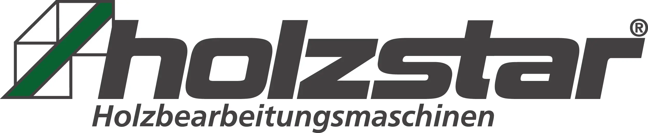 Holtzstar logo